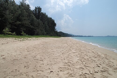 ชายหาดเขาหลัก จังหวัดพังงา ทรายยาวติดแนวสนทะเล